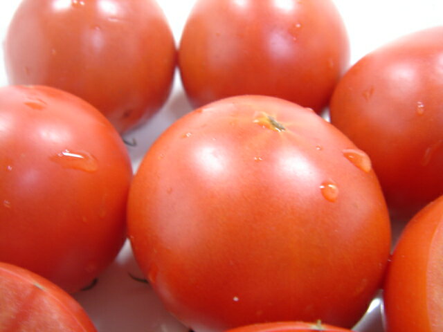 高知県産　徳谷トマト 500g　本来の甘さとコクのある味が絶