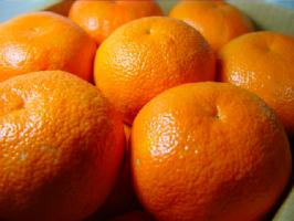 愛媛中島産 いよかん 3Lサイズ(10kg入り) 瀬戸内の温暖な気候で育った自然派柑橘! 甘くてジューシーな味が大人気のオレンジの定番! ホワイトデーのギフトにおすすめ 発送:1月下旬〜