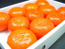 愛媛県産・高級柑橘 アンコール マンダリン系オレンジの最高級品種 甘くて濃厚な味わいはほかのカンキツと一線を画す美味しさ 出荷：3月下旬〜