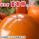 名産地!福岡産富有柿5玉【常温便】 - 南国フルーツ-果実村TOKIO