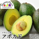 【送料無料】メキシコ産 アボカド 8玉(150gx8）