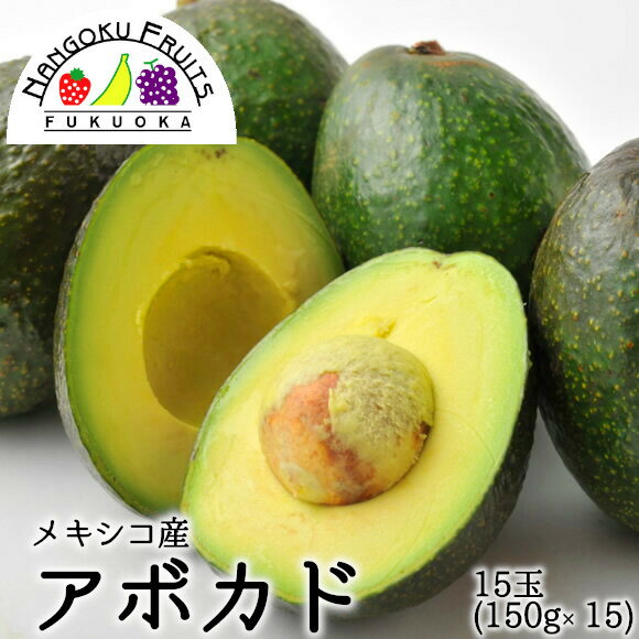 【送料無料】メキシコ産 アボカド 15玉(150gx15）