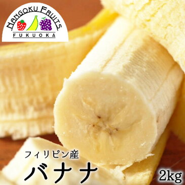 送料無料　フィリピン産バナナ 約2kg箱 約12−15本バナナ banana ダイエット おやつ 健康 フィリピン フルーツ 南国フルーツ 輸入 輸入フルーツ 果物