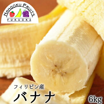 送料無料 フィリピン産バナナ約6kg 約36−45本 バナナ banana ダイエット おやつ 健康 フィリピン フルーツ 南国フルーツ 輸入 輸入フルーツ 果物