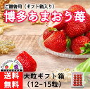 博多あまおう大粒ギフト箱（12〜15粒入）