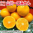 福岡産山川一口みかん5kg - 南国フルーツ-果実村TOKIO
