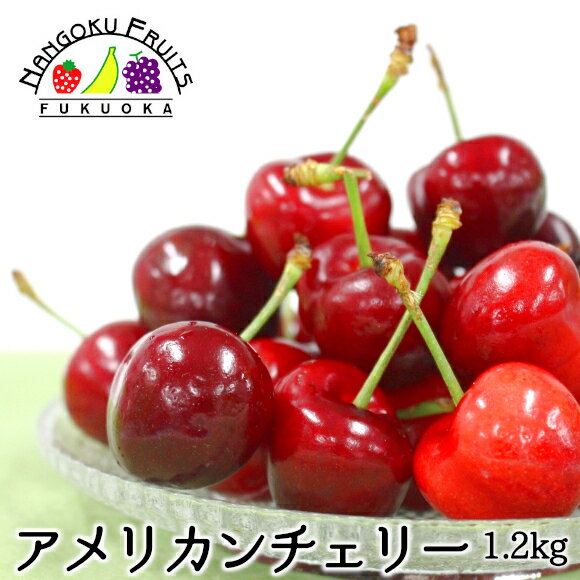 楽天市場 送料無料 アメリカンチェリー 大粒 1 2kg 1kg 0g 増量中 南国フルーツ 果実村ｔｏｋｉｏ