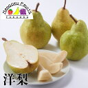 【予約商品】洋梨