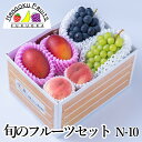 旬のフルーツセット N10