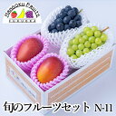 旬のフルーツセット N11