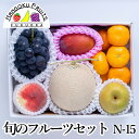 旬のフルーツセット N15