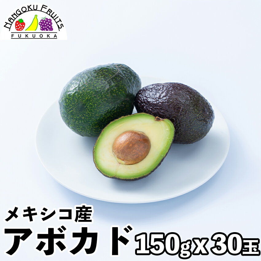 【送料無料】メキシコ産 アボカド 30玉のサムネイル