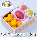 旬のフルーツセット N12