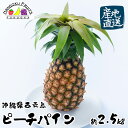 【産地直送】沖縄県 西表島産 ピーチパイン