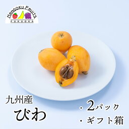 びわ 【送料無料】【母の日ギフト】九州産 びわ