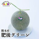 【予約販売・母の日ギフト対応】熊本産 肥後グリーン