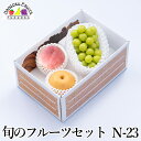 旬のフルーツセット N23