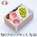 旬のフルーツセット N24