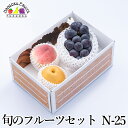 旬のフルーツセット N25