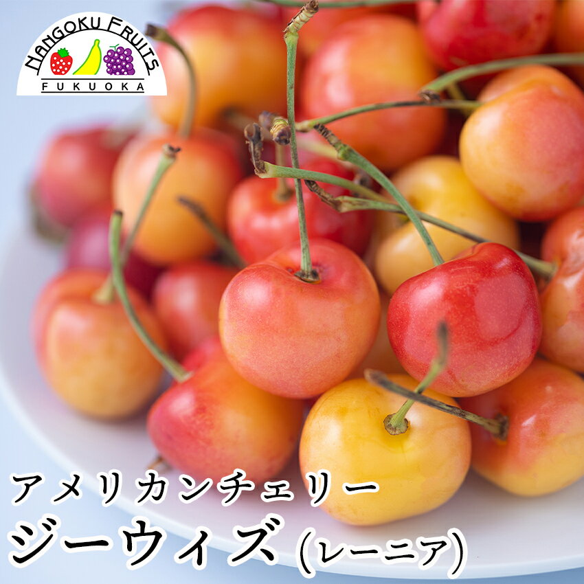 【数量限定・予約販売】ジーウィズ (GeeWhiz)（レーニアチェリー）のサムネイル