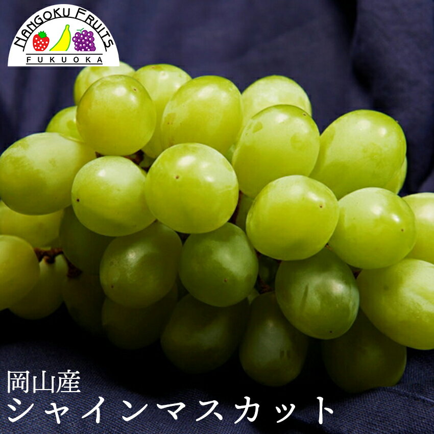 【予約販売】岡山産 シャインマスカット