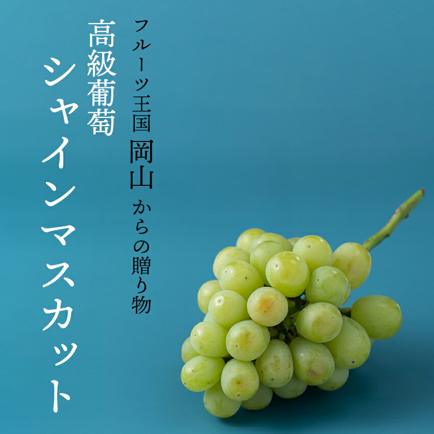 【予約販売】岡山産 シャインマスカット