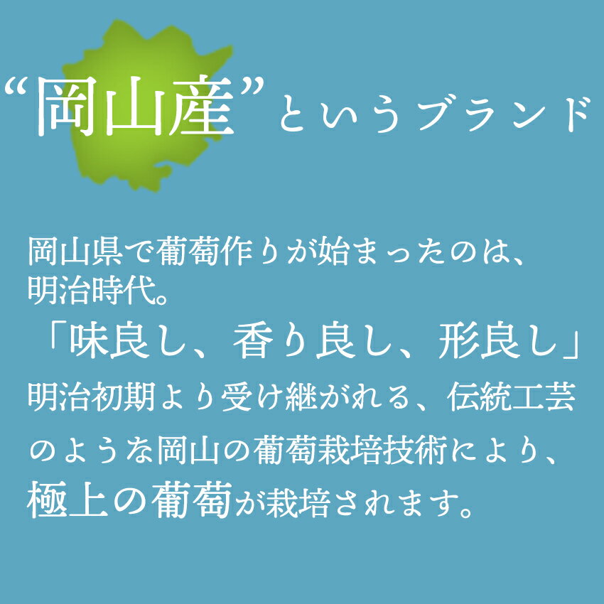 【予約販売】岡山産 シャインマスカット