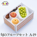 【予約商品】旬のフルーツセット A19