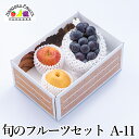 【予約商品】旬のフルーツセット A11