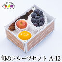 【予約商品】旬のフルーツセット A12