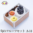 【予約商品】旬のフルーツセット A14