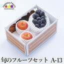 旬のフルーツセット A13