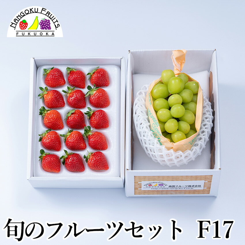 【予約販売】旬のフルーツセット F17（送料込 果物詰め合わせ 誕生日 プレゼント 御祝 内祝 結婚 御見舞 くだもの 旬の果物 のし対応 お歳暮 御歳暮 冬ギフト）(4)