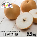 【送料無料】 九州産 目利き梨 2.5kg