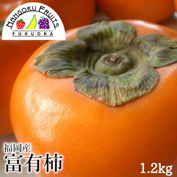 【送料無料】福岡産 富有柿 約1.2kg （4〜5玉)