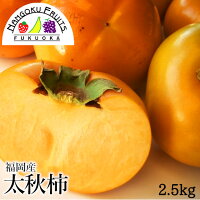 福岡産 太秋柿(たいしゅうかき) 約2.5kg (8〜10玉)