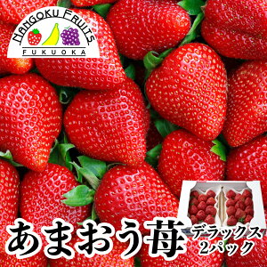 【福岡いちご】福岡県産の甘くて美味しい苺のおすすめは？