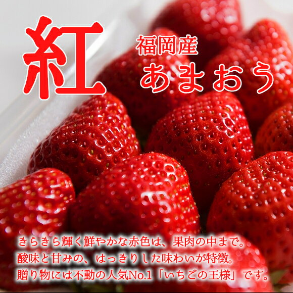 【送料無料】福岡産 紅白いちご （あまおう＆白いちご）2パック