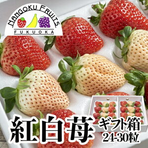 福岡・佐賀産 紅白いちご （あまおう＆白いちご）ギフト箱(24-30粒)