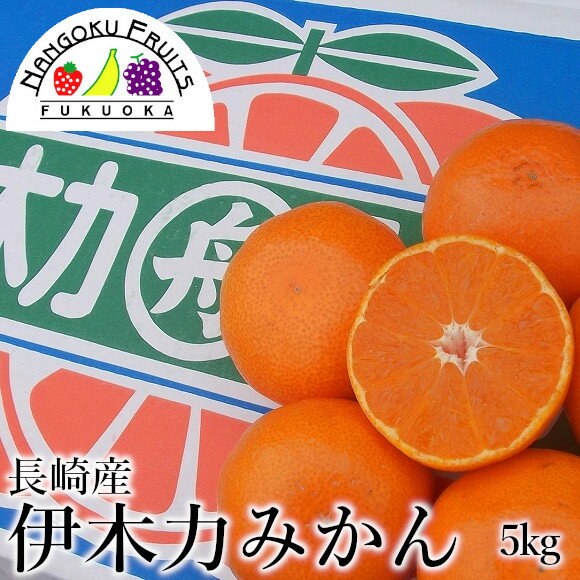 【送料無料】長崎産 伊木力みかん 約5kg箱