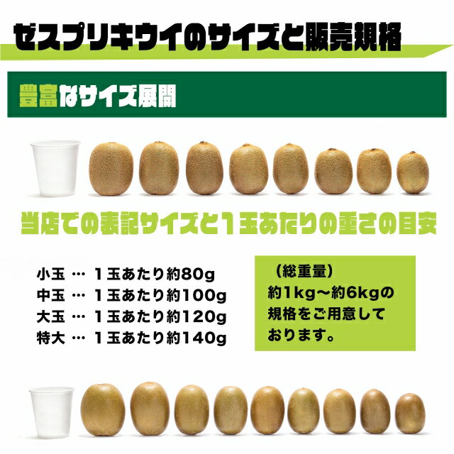 【送料無料】ゼスプリ・サンゴールドキウイXL約6kg(36-44玉)