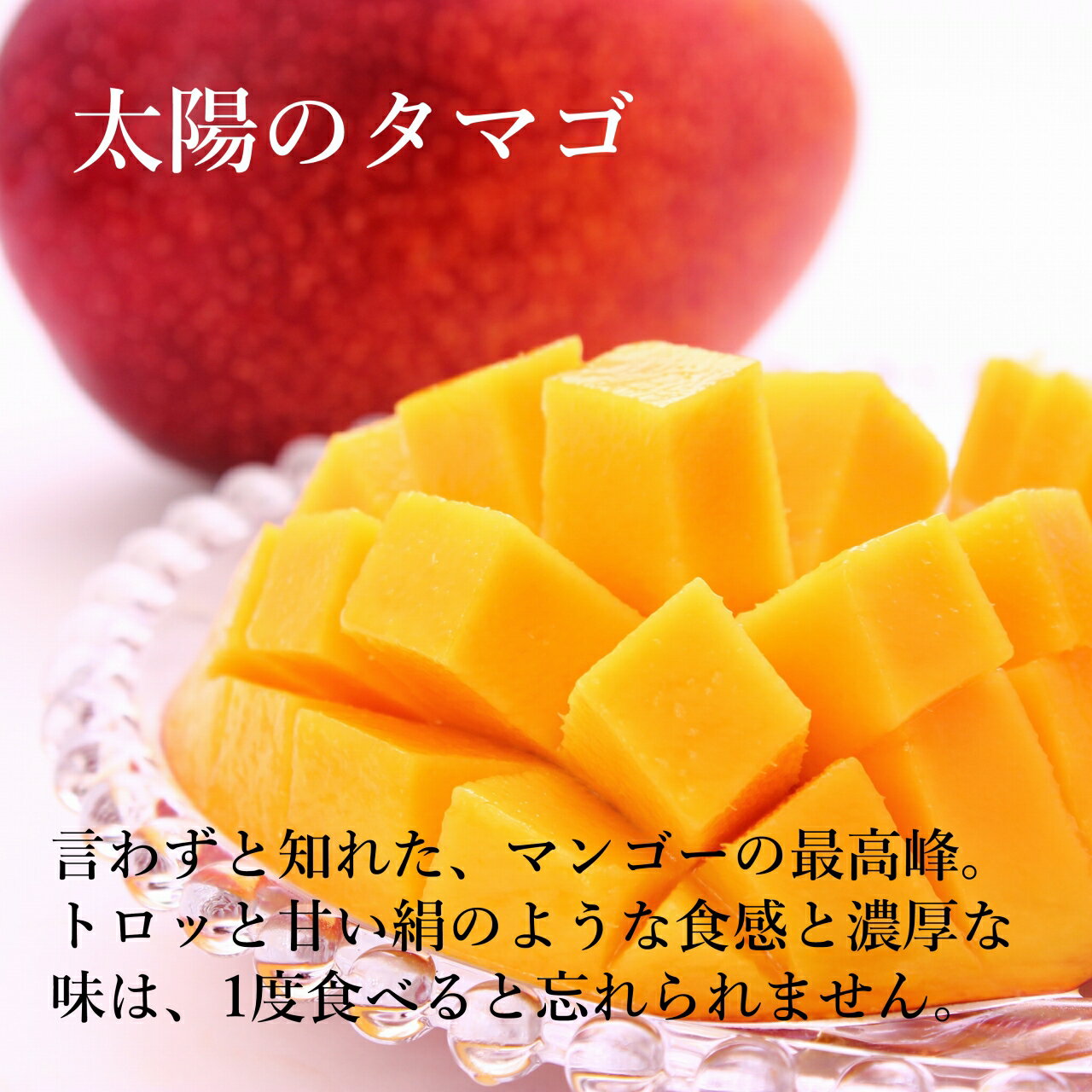 【予約販売】旬のフルーツセット(木箱) N05