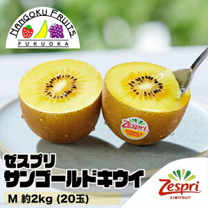 【送料無料】ゼスプリ・サンゴールドキウイ M 約2kg (20玉)