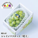 【予約販売】岡山産 シャインマスカット「晴王」1房ギフト箱