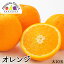 オーストラリア産 オレンジ 2,500円