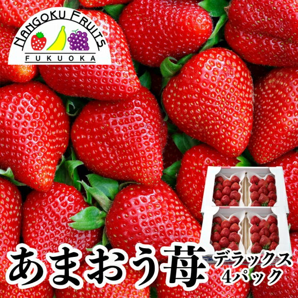 【送料無料】福岡産 あまおう苺 デラックス　4パック