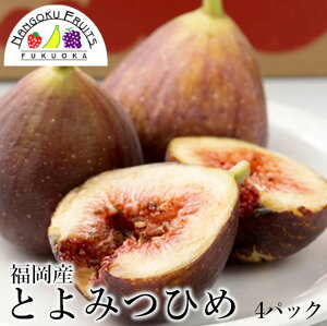 平均糖度17度!福岡県限定生産とよみつひめ270g×4パック