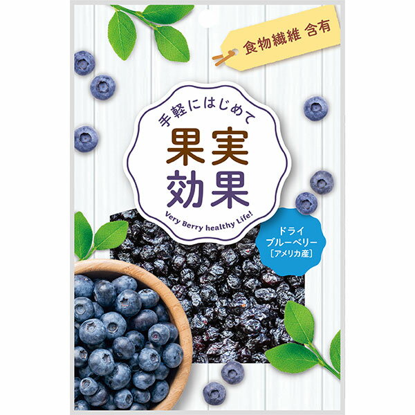 果実効果 ブルーベリー38g×20袋【送料無料】【お得セット】