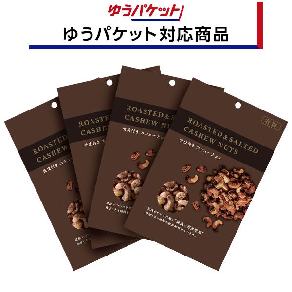 【ゆうパケット対応商品】渋皮付カシューナッツ　≪100g×4個≫