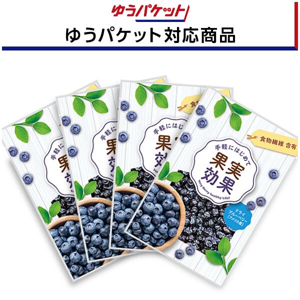【ゆうパケット対応商品】果実効果　ブルーベリー≪38g×4袋≫